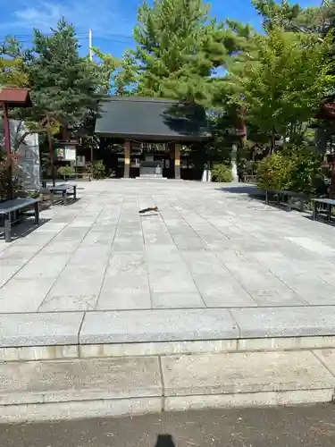 北見神社の動物