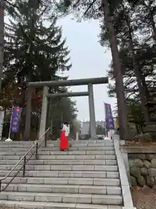上川神社の鳥居(2021年10月30日(土) 19時41分40秒投稿)
