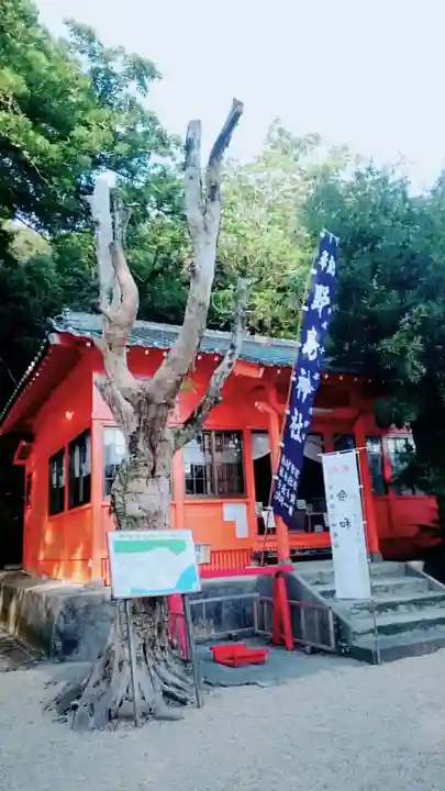 野島神社の本殿・本堂