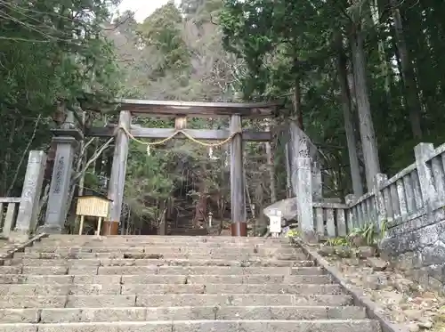 戸隠神社宝光社の鳥居