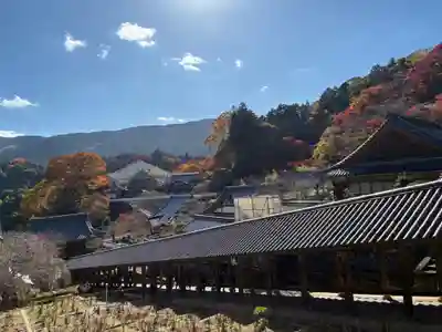 長谷寺(奈良県)