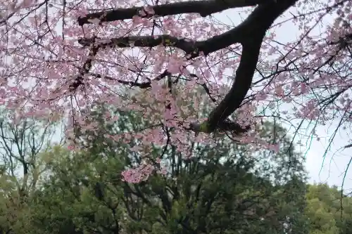 豊川稲荷東京別院の{uncategorized: "未分類", other: "その他", undefined: "問題あり", building: "その他建物", grave: "お墓", sacred_gate: "鳥居", guardian: "狛犬", statue: "像", buddha: "仏像", history: "歴史", nature: "自然", garden: "庭園", animal: "動物", pagoda: "塔", temizu: "手水舎", mountain_gate: "山門・神門", sanctuary: "本殿・本堂", subordinate: "末社・摂社", art: "芸術", scenery: "景色", jizo: "地蔵", ema: "絵馬", goshuin: "御朱印", omikuji: "おみくじ", items: "授与品その他", amulet: "お守り", goshuincho: "御朱印帳", eats: "食事", festival: "お祭り", votive_dance: "神楽", shichigosan: "七五三参", wedding: "結婚式", experience: "体験その他", initially: "初詣", around: "周辺", anti_infection: "感染症対策"}