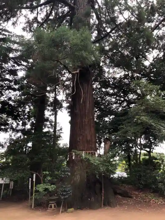 側高神社のその他建物