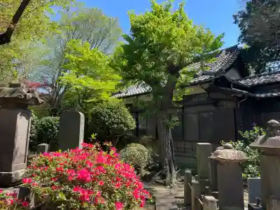 久成寺の{uncategorized: "未分類", other: "その他", undefined: "問題あり", building: "その他建物", grave: "お墓", sacred_gate: "鳥居", guardian: "狛犬", statue: "像", buddha: "仏像", history: "歴史", nature: "自然", garden: "庭園", animal: "動物", pagoda: "塔", temizu: "手水舎", mountain_gate: "山門・神門", sanctuary: "本殿・本堂", subordinate: "末社・摂社", art: "芸術", scenery: "景色", jizo: "地蔵", ema: "絵馬", goshuin: "御朱印", omikuji: "おみくじ", items: "授与品その他", amulet: "お守り", goshuincho: "御朱印帳", eats: "食事", festival: "お祭り", votive_dance: "神楽", shichigosan: "七五三参", wedding: "結婚式", experience: "体験その他", initially: "初詣", around: "周辺", anti_infection: "感染症対策"}