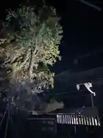 円通寺(栃木県)