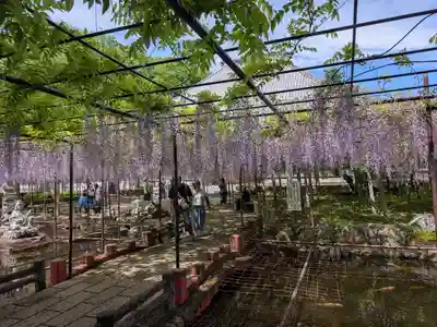 長泉寺(埼玉県)