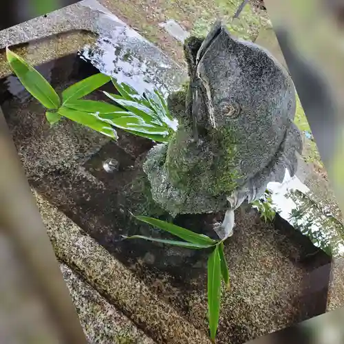 神炊館神社 ⁂奥州須賀川総鎮守⁂の手水