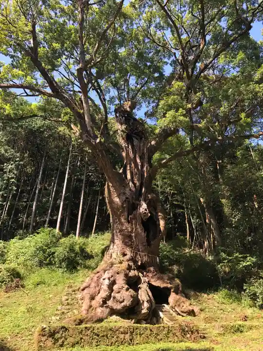 武雄神社(佐賀県)