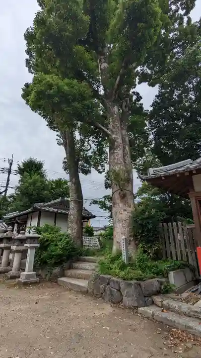 角宮神社(京都府)