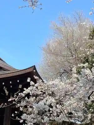 靖國神社(東京都)