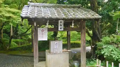 今熊野観音寺の手水舎