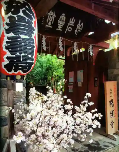 陽運寺(東京都)