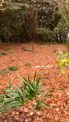 伏見稲荷大社　御膳谷奉拝所(京都府)