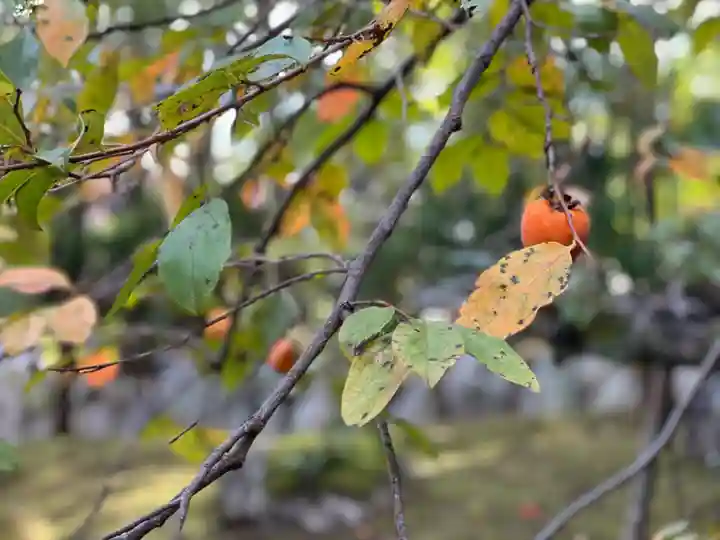 伊勢の国 四天王寺の自然