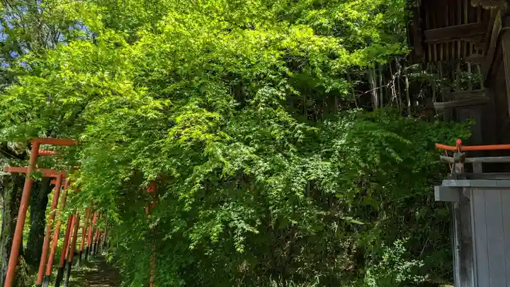 湘山稲荷大明神の自然