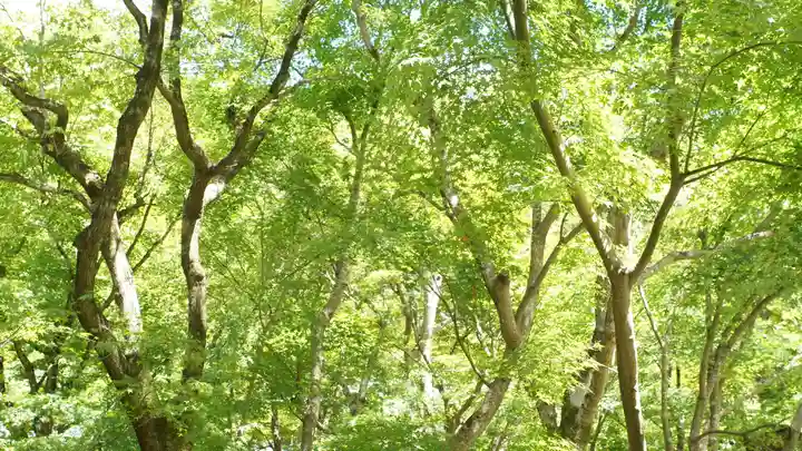 圓光寺(京都府)