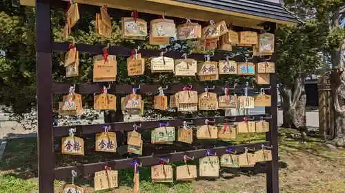 根室金刀比羅神社の絵馬