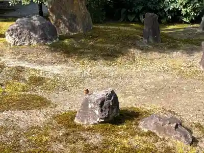 建仁寺（建仁禅寺）(京都府)