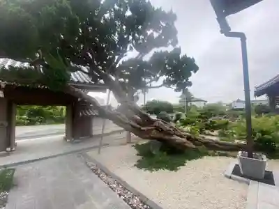 禅寂寺(大阪府)