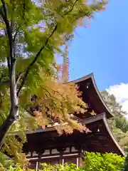 温泉寺の建物その他