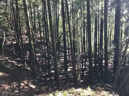 妙見神社の自然