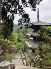 一乗寺の建物その他