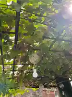 菊名神社(神奈川県)