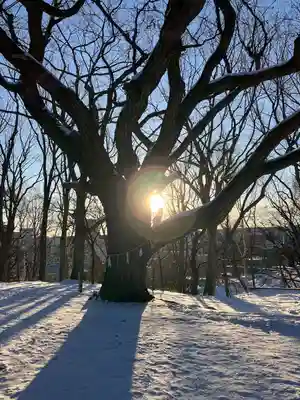 相馬神社(北海道)