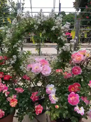 星宮神社のその他建物