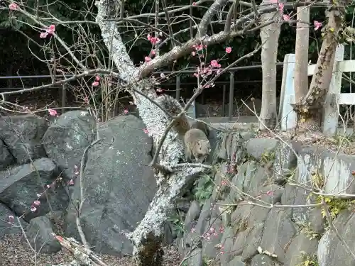 鎌倉宮の{uncategorized: "未分類", other: "その他", undefined: "問題あり", building: "その他建物", grave: "お墓", sacred_gate: "鳥居", guardian: "狛犬", statue: "像", buddha: "仏像", history: "歴史", nature: "自然", garden: "庭園", animal: "動物", pagoda: "塔", temizu: "手水舎", mountain_gate: "山門・神門", sanctuary: "本殿・本堂", subordinate: "末社・摂社", art: "芸術", scenery: "景色", jizo: "地蔵", ema: "絵馬", goshuin: "御朱印", omikuji: "おみくじ", items: "授与品その他", amulet: "お守り", goshuincho: "御朱印帳", eats: "食事", festival: "お祭り", votive_dance: "神楽", shichigosan: "七五三参", wedding: "結婚式", experience: "体験その他", initially: "初詣", around: "周辺", anti_infection: "感染症対策"}