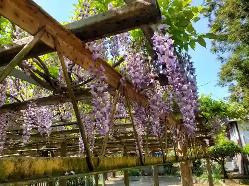 武蔵第六天神社(埼玉県)