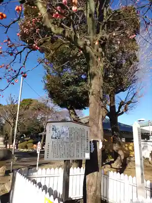 新曽氷川神社のその他建物