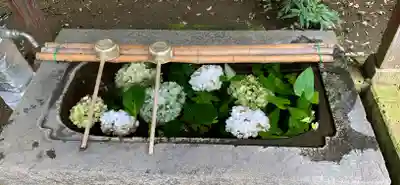 千代ケ岡八幡宮の手水舎