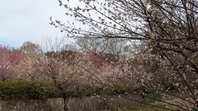  智積院(京都府)