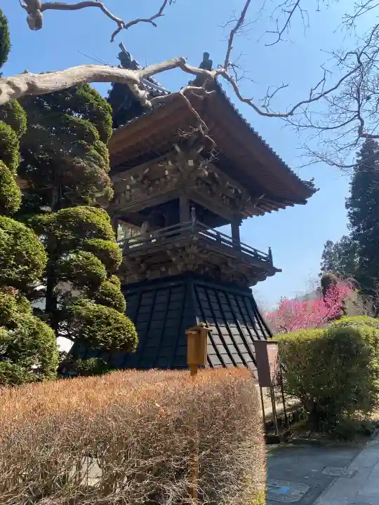 安楽寺の{uncategorized: "未分類", other: "その他", undefined: "問題あり", building: "その他建物", grave: "お墓", sacred_gate: "鳥居", guardian: "狛犬", statue: "像", buddha: "仏像", history: "歴史", nature: "自然", garden: "庭園", animal: "動物", pagoda: "塔", temizu: "手水舎", mountain_gate: "山門・神門", sanctuary: "本殿・本堂", subordinate: "末社・摂社", art: "芸術", scenery: "景色", jizo: "地蔵", ema: "絵馬", goshuin: "御朱印", omikuji: "おみくじ", items: "授与品その他", amulet: "お守り", goshuincho: "御朱印帳", eats: "食事", festival: "お祭り", votive_dance: "神楽", shichigosan: "七五三参", wedding: "結婚式", experience: "体験その他", initially: "初詣", around: "周辺", anti_infection: "感染症対策"}