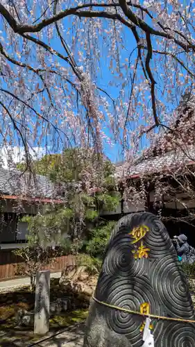 本満寺（本願満足寺）(京都府)