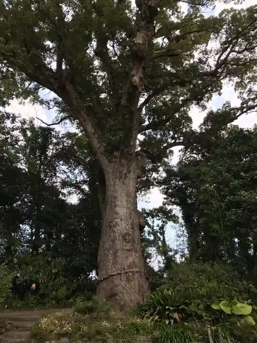 揖宿神社の建物その他