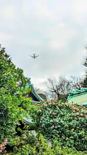 白金氷川神社の景色