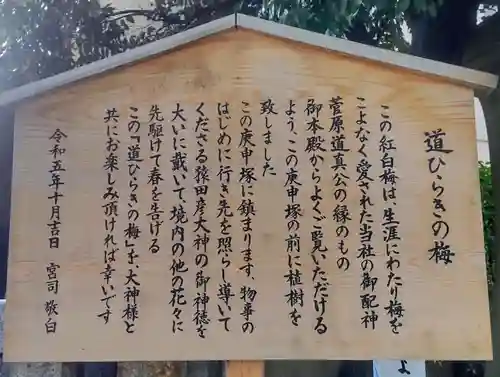 小野照崎神社(東京都)