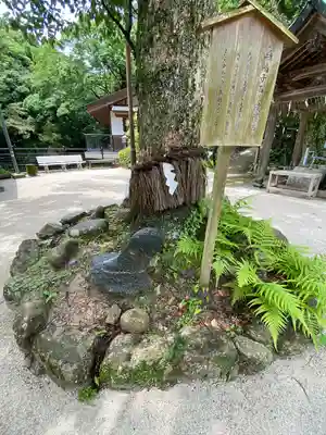 志賀海神社(福岡県)