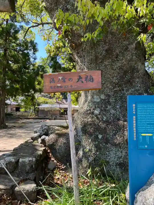 熊野三所大神社(浜の宮王子)(和歌山県)