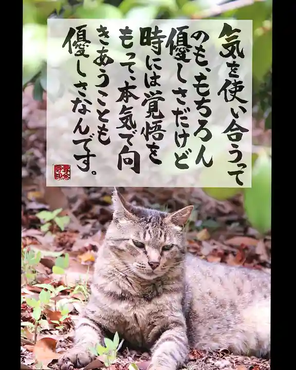 専念寺(大阪府)