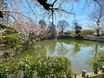萬福寺(京都府)