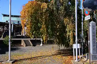 熊野福藏神社の景色