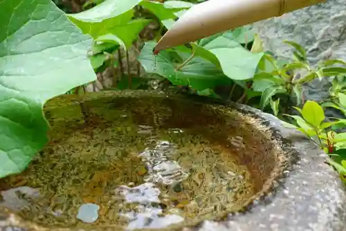 霊山寺の庭園