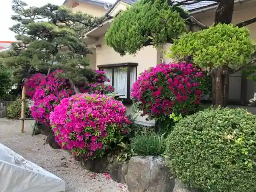 荒井神社の庭園