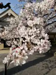 宝仙寺の自然