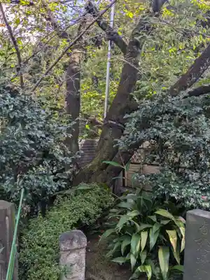 本誓寺(東京都)
