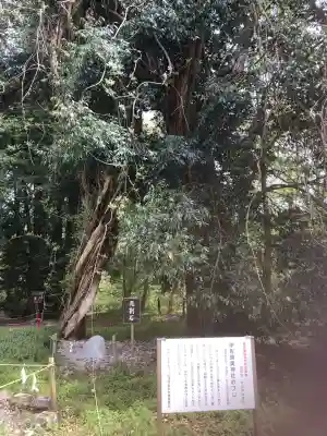 伊佐須美神社(福島県)