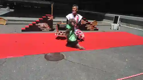 宮地嶽神社の動物